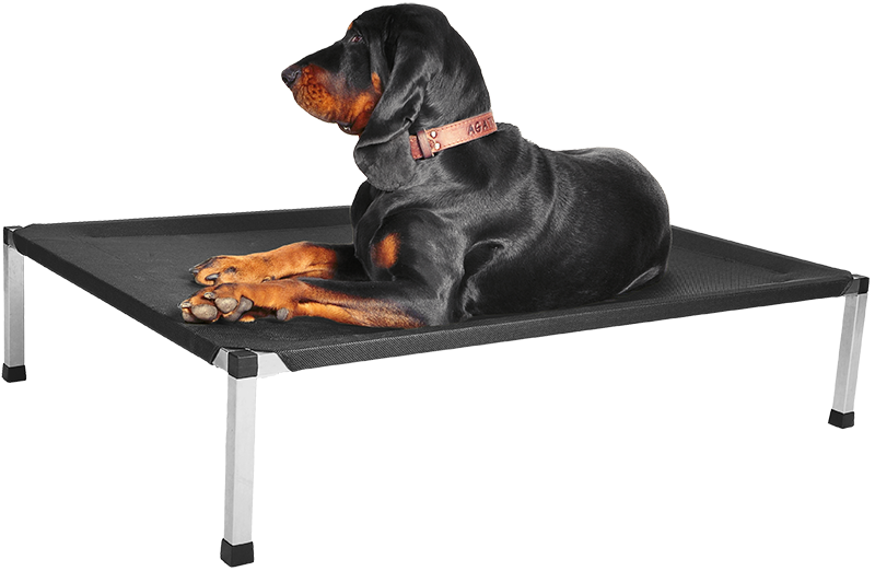 Černé lehátko Anadi a Agatha pgn web